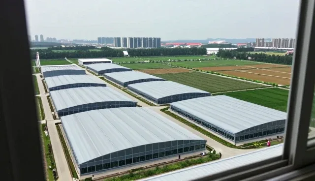 验收交付发展促进网站建设市场增长
